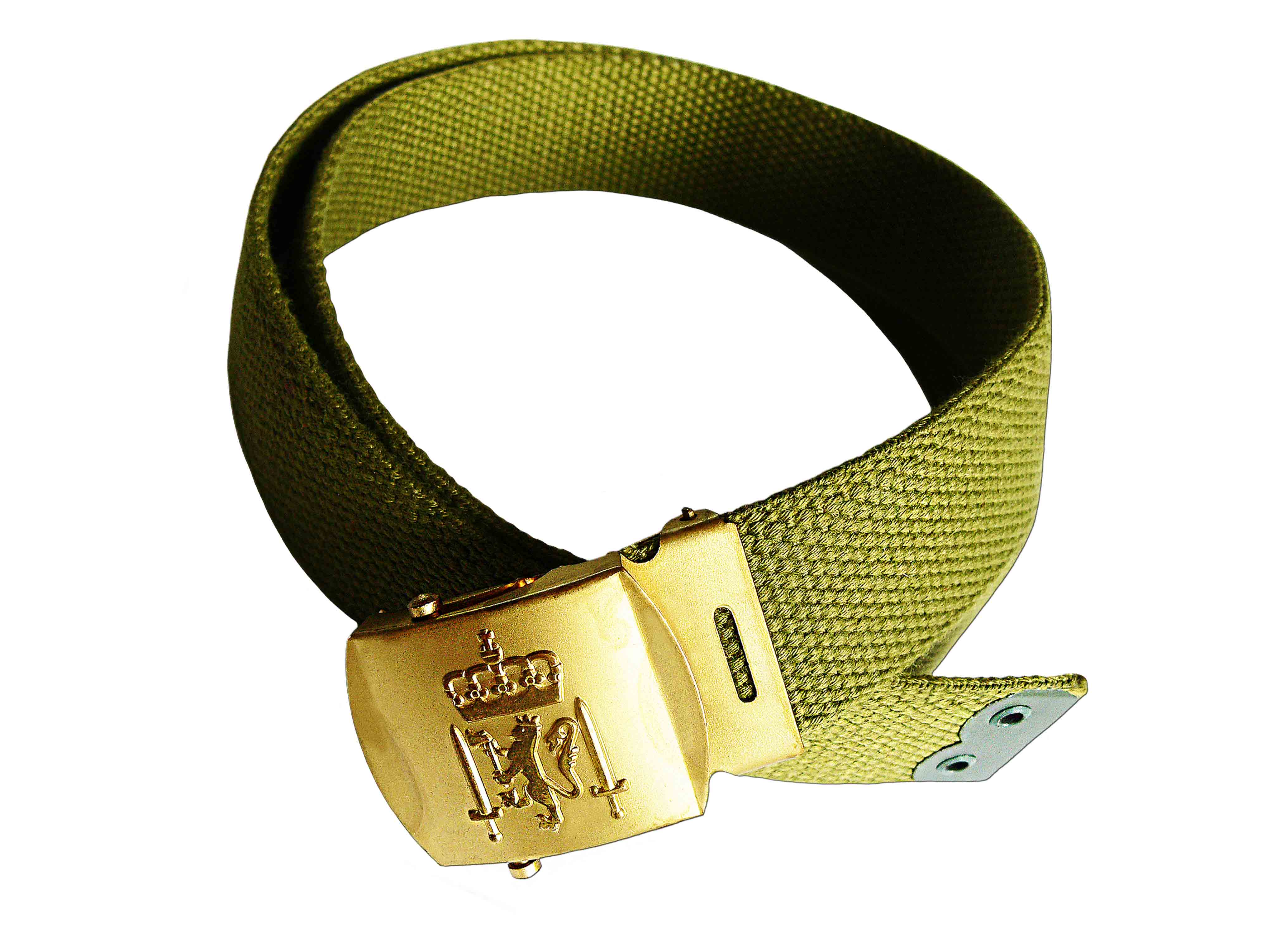 Esercito della Cintura Norvegese